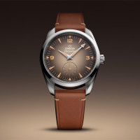 Seamaster Railmaster