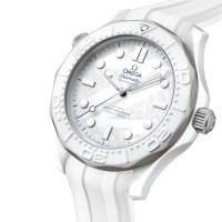 Seamaster Diver 300m