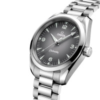 Seamaster Railmaster