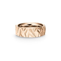 Alpen Ring