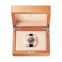 Seamaster Planet Ocean 600M