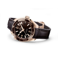 Seamaster Planet Ocean 600M
