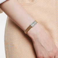 Panorama Flex'it Armband