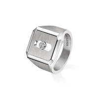 Move Titanium Naturel Siegelring