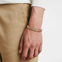 Panorama Flex'it Armband