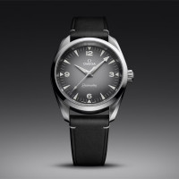 Seamaster Railmaster