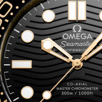 Seamaster Diver 300M