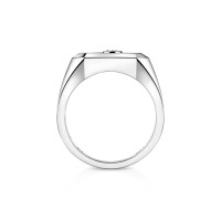 Move Titanium Naturel Siegelring mit Diamanten