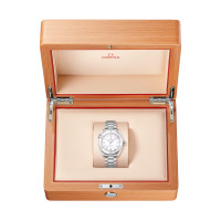 Seamaster Planet Ocean 600M