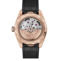 Seamaster Aqua Terra 150 M