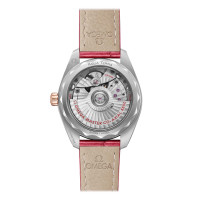 Seamaster Aqua Terra 150 M