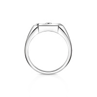 Move Titanium Naturel Siegelring