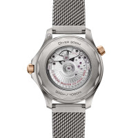 Seamaster Diver 300M