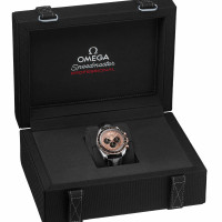 Speedmaster Moonwatch Professional