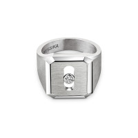 Move Titanium Naturel Siegelring