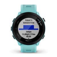 Forerunner® 55