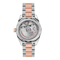 Seamaster Aqua Terra Shades