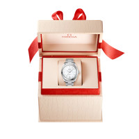 Seamaster Aqua Terra 150 M