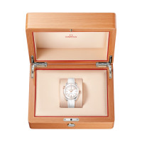 Seamaster Planet Ocean 600 M