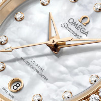 Seamaster Aqua Terra 150 M