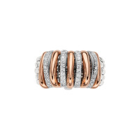 Panorama Flex'it Ring