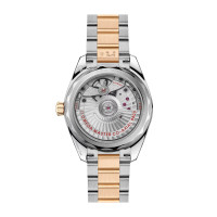 Seamaster Aqua Terra Shades