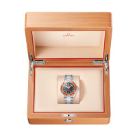 Seamaster Planet Ocean 600M