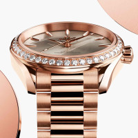 Seamaster Aqua Terra Shades