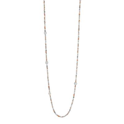 gellner-2-81635-01