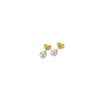 gellner-5-22546-03