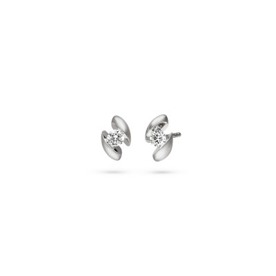 schaffrath-217-calla-20-ww