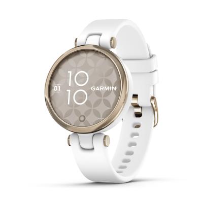 garmin-010-02384-10