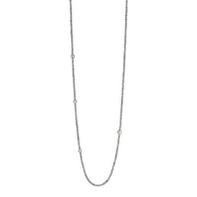 gellner-2-81637-01