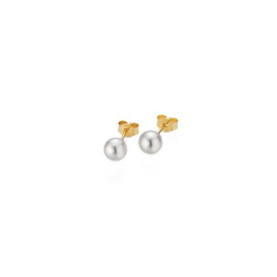 gellner-5-22549-03