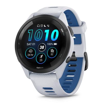 garmin-010-02810-11