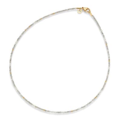 gellner-2-81698-01