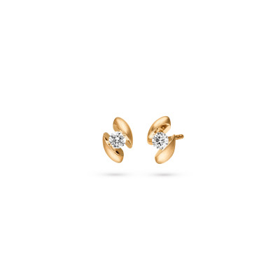 schaffrath-117-calla-20-gw