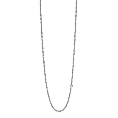 gellner-2-81632-01