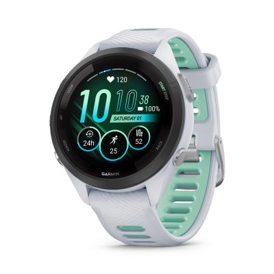 garmin-010-02810-14