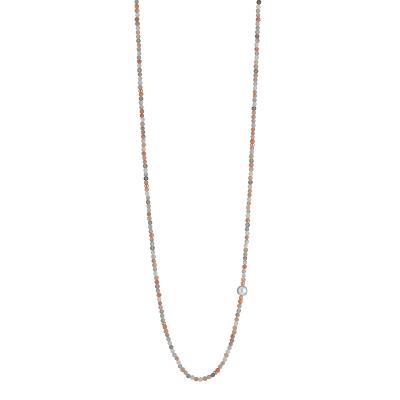 gellner-2-81630-01