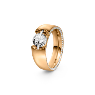 schaffrath-118-l1090-50-gw