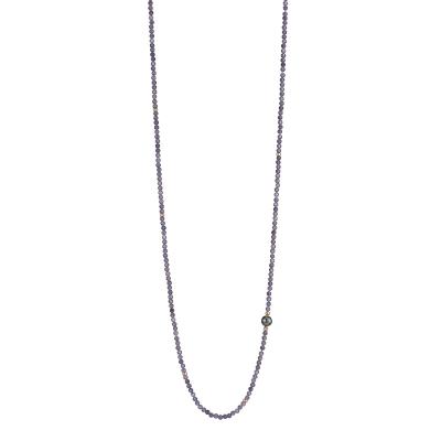 gellner-2-81629-01