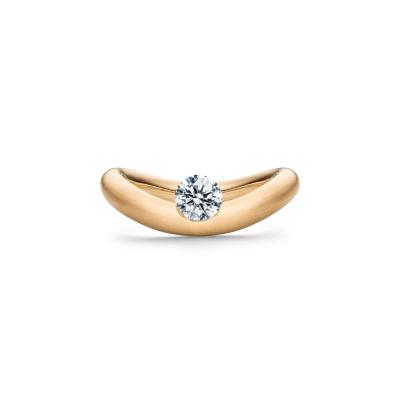 schaffrath-118-2n287-100-gw