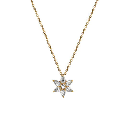 Hans D. Krieger - Stars Anhänger