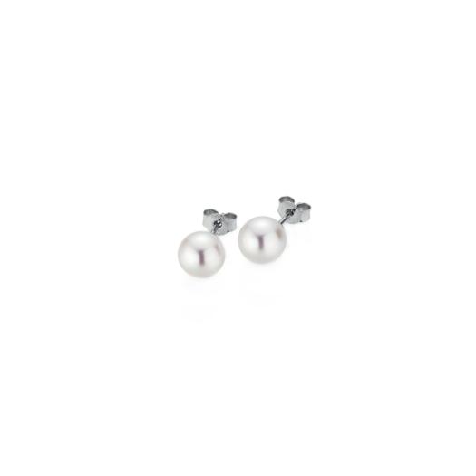 Gellner - BASICS Ohrstecker 