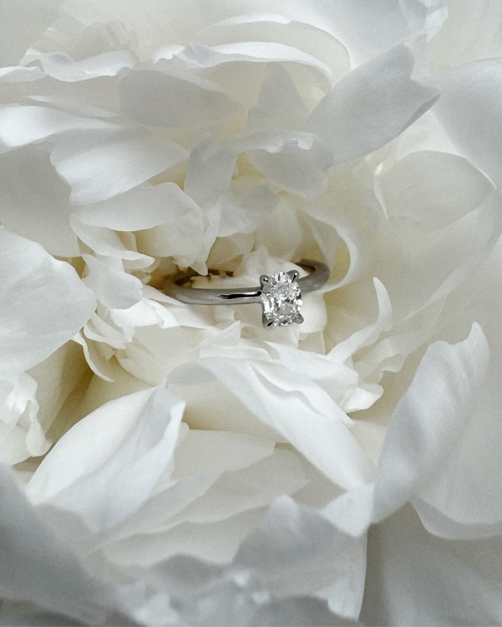 @juweliervogl 23.02.2026