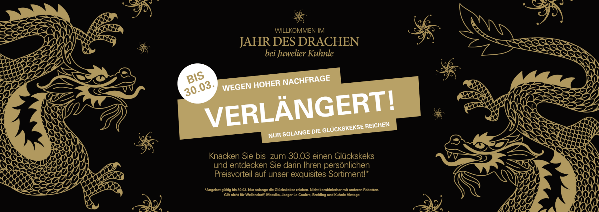 Drache Website Banner